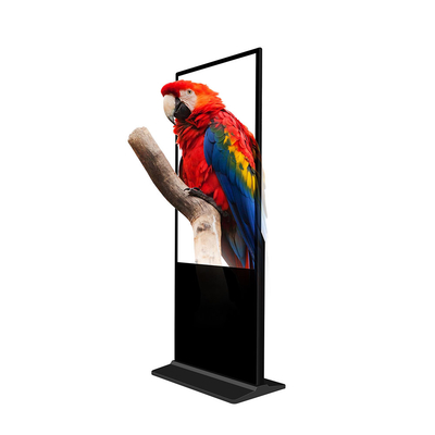 Versatile Content Display Floor-Standing Digital Signage with Split-Screen Technology